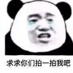 小坊上潮拍了拍你这些微信新功能快被玩坏了
