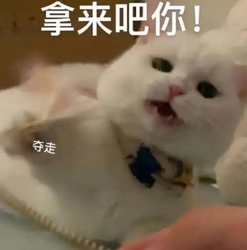 科幻电影之外,你也可以在这款游戏上遨游广阔无垠的星辰大海
