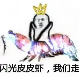 能不能把第二张图的字改成闪光皮皮虾,然后把那个闪光加上
