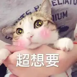 论投胎的重要性贝克汉姆把女儿的6岁生日party开进白宫
