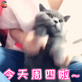 送你一波表情包,拿去上热门
