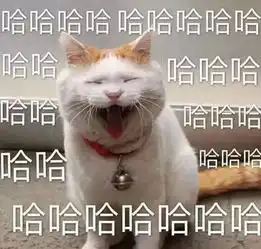 她是不是王思聪最有钱的前女友

