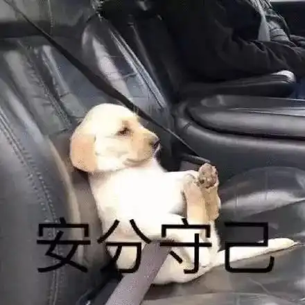 长达8年长痘历史的我老泪纵横心酸史

