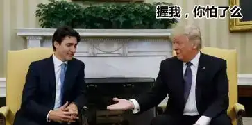 嘚瑟丨gdp数据出炉美国惊现经济奇迹川普表情要上天了

