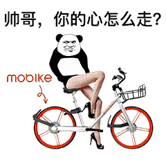 大家都有对象,为什么就你没有
