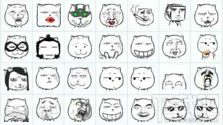 猥琐猫qq表情包大全下载
