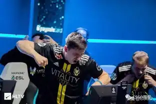 csgo赛场上行走的表情包电竞憨豆apex

