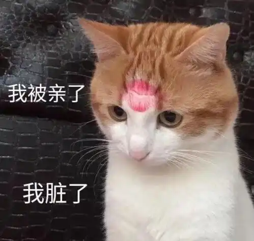 沙雕表情包l爱你,好了挂了
