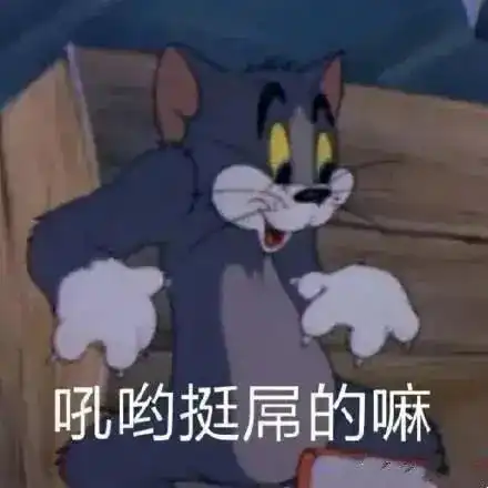 表情包猫和老鼠表情包
