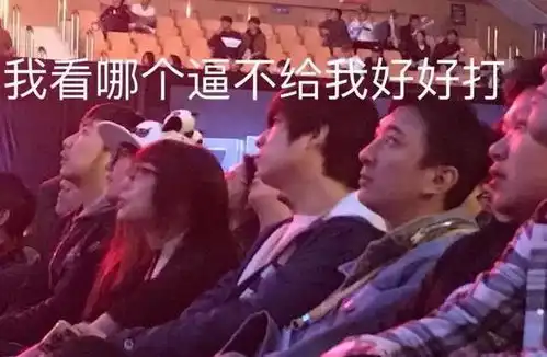 王校长亲自督战英雄联盟世界赛,网友上单加钱
