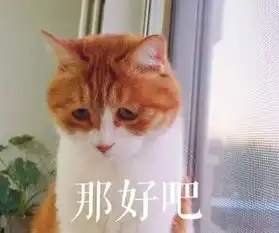 渣男最常用的4种猫咪微信表情包

