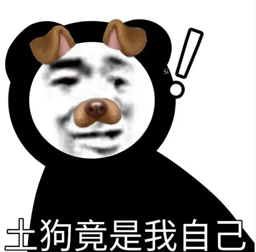 我太可爱了,快来抱抱我
