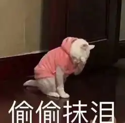 lisa李圣经宣美这些腿精到了夏天,真要命
