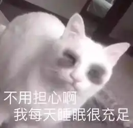 天啊噜我家猫猫睡觉又做噩梦了,我到底要不要叫醒它
