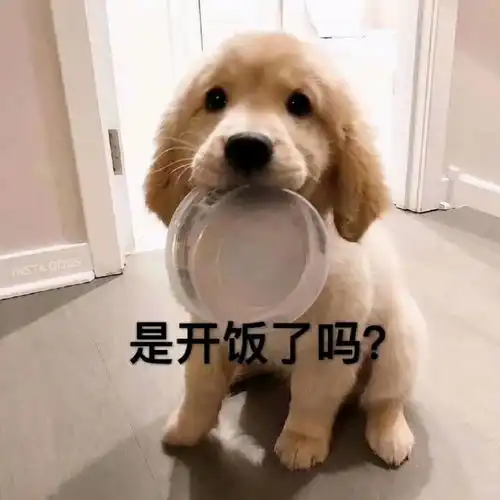 表情包好难过哭死算了
