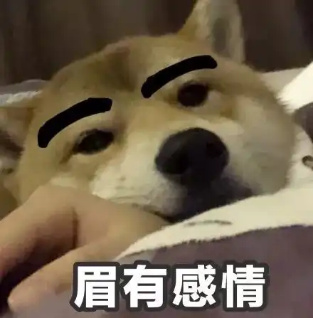 柴犬表情包,这该死的爱情
