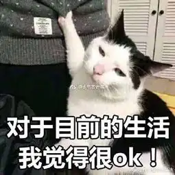 dj电音老傅的微博微博