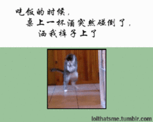 动态表情神配词
