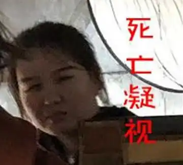 2019最新沙雕表情包信不信我找人削你
