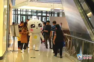 有只猫在这里卖萌表情包猫星星亮相羊城南方快报南方网
