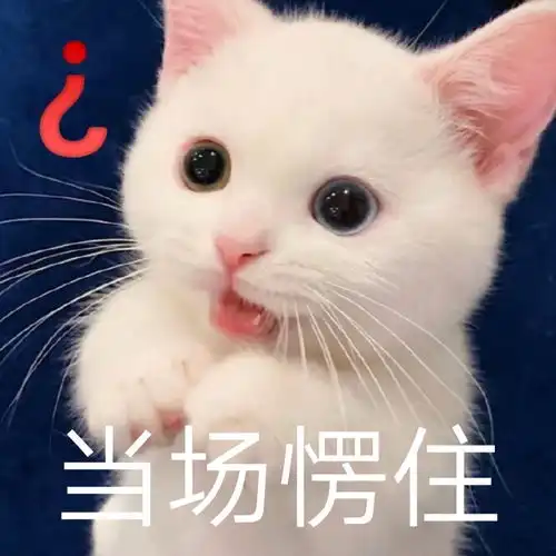 被妈妈看到白夜行里的sq片段
