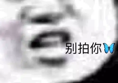 你有莫有什么关于拍一拍的表情包
