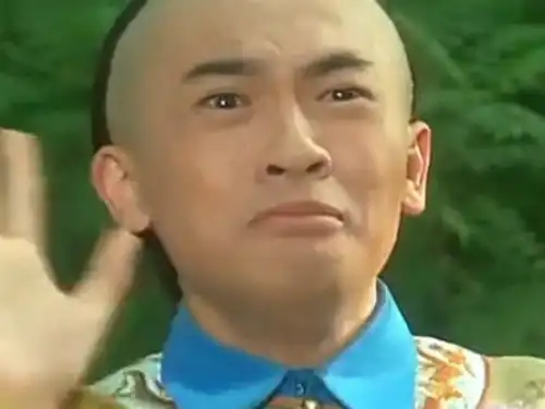 小燕子拿着树枝背诗剩下的一半惨的连五阿哥都听不下去了

