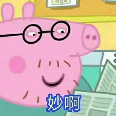 小猪佩奇恶搞带字高清头像2020你是风偏偏我还是想拥抱你

