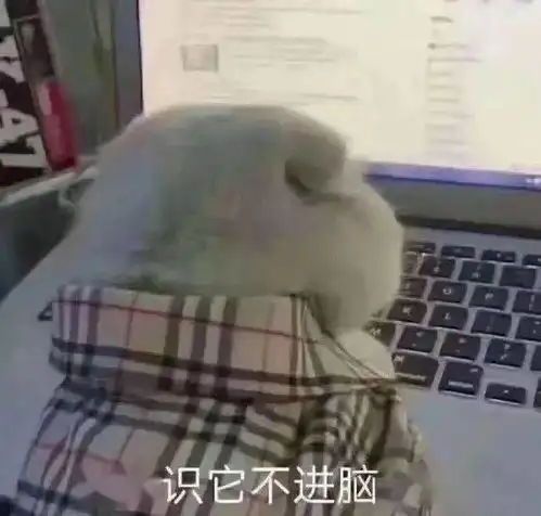 青春警院期末考试拍了拍你
