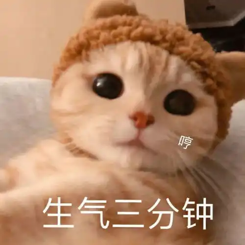 土味情话指南1.0
