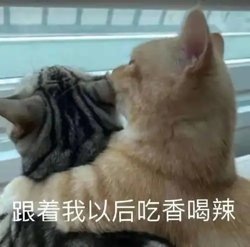 在福州上大学的正确打开方式
