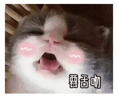 要亲亲,要抱抱,还要举高高
