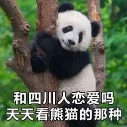 别张口,我一看表情包就知道你是哪个省的人
