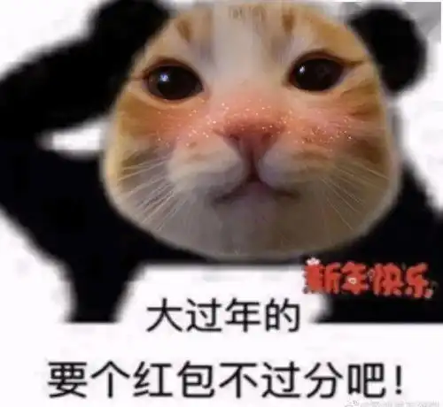 快保存最适合过年搞钱的99个猫表情包

