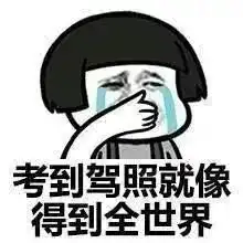 假期丨暑假学车,我怕你会变成表情包啊
