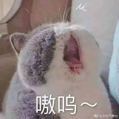 最高17级,超强台风山竹直奔广东,双台风或严重影响珠海
