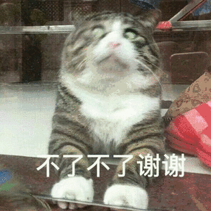 当小广告变成一种艺术,怕不是想让我笑死在马路上
