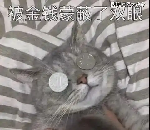 深圳政府又双叒叕花钱培养您啦劳动者技能提升培训补贴
