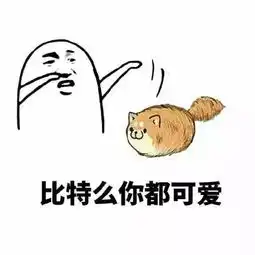 看见这两坨便便没全扔你脸上表情包
