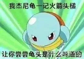 神奇宝贝中有哪些表情包巨头
