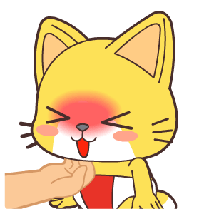 宝宝猫激萌表情
