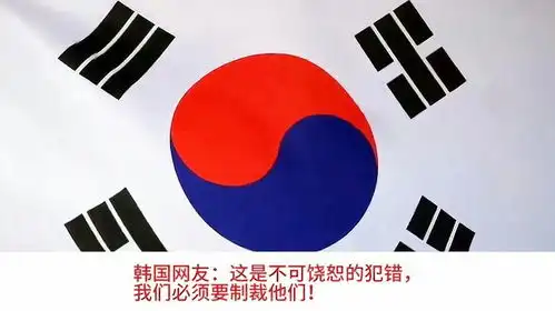 外网热议巴黎奥运会又把韩国国旗挂错,韩网友这是故意的
