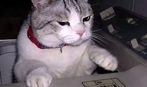 你以为我还会上当么
