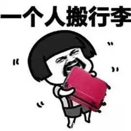 90后的钱去哪儿了养宠消费也是一大开支

