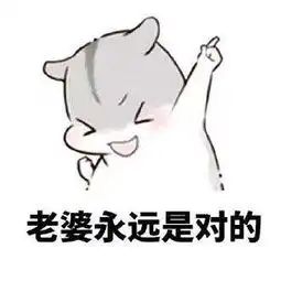 发给老婆的表情包合集老婆你说什么都是对的

