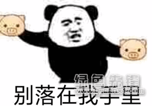 感动隔壁网友表情搞笑感动表情素材包高清版软件下载
