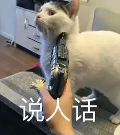 宠物表情包出处坐姿