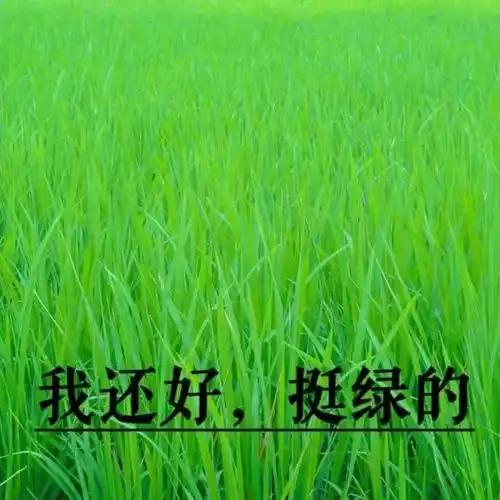 有没有你们觉得很有趣很可爱的文案
