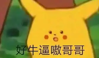 男篮日语学院篮球队招新啦
