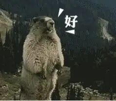 咆哮的表情包
